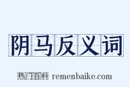 阴马反义词是什么意思的图片